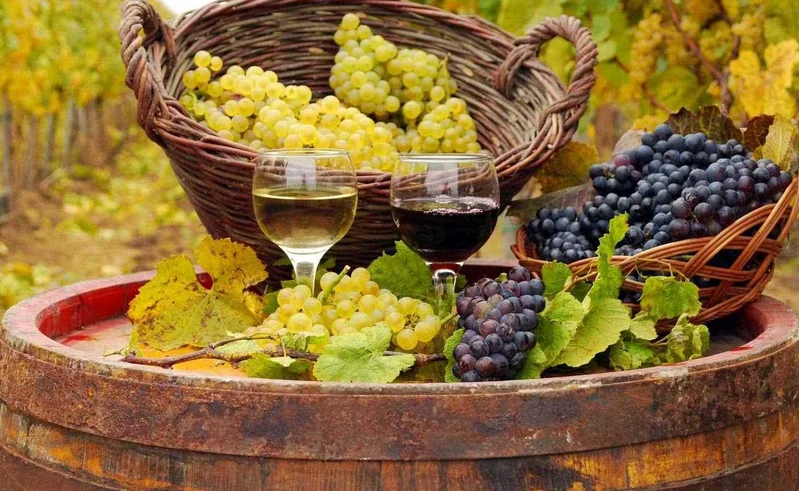 rượu vang quanh đảo Síp